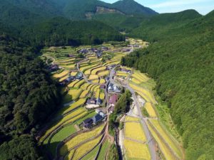 上空からの山村