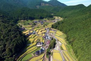 上空からの山村