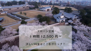 top1-キャンペーン