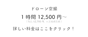 キャンペーン文字