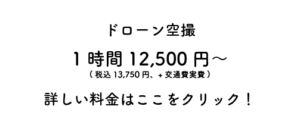 キャンペーン文字