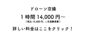 キャンペーン文字